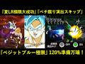 【ドッカンバトル】夏LR極限大成功＆ペチペチキック演出スキップ！『LRベジットブルー極限』120%準備万端！