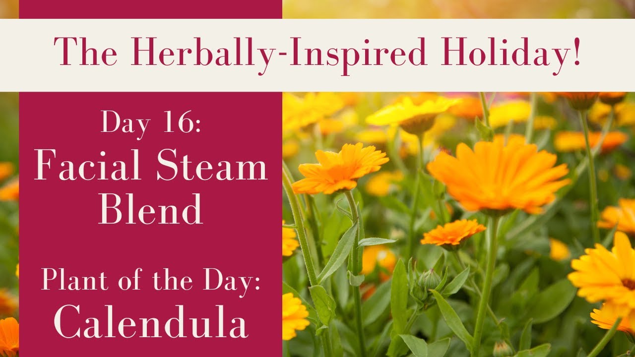 Calendula for Self Care | Facial Steam Blends | Herbal Holiday Day 16