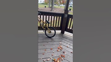 Riding with @Ronnieridesbikes #bmx #bikes