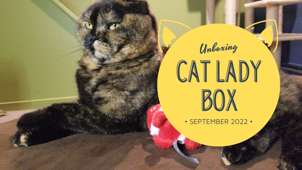 CAT LADY BOX Unboxing September 2022 Long sleeves shirt and