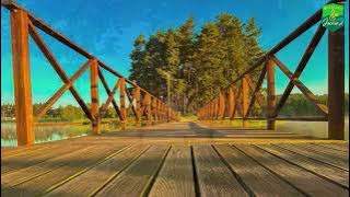 Stachursky- Jesteś moim przeznaczeniem 