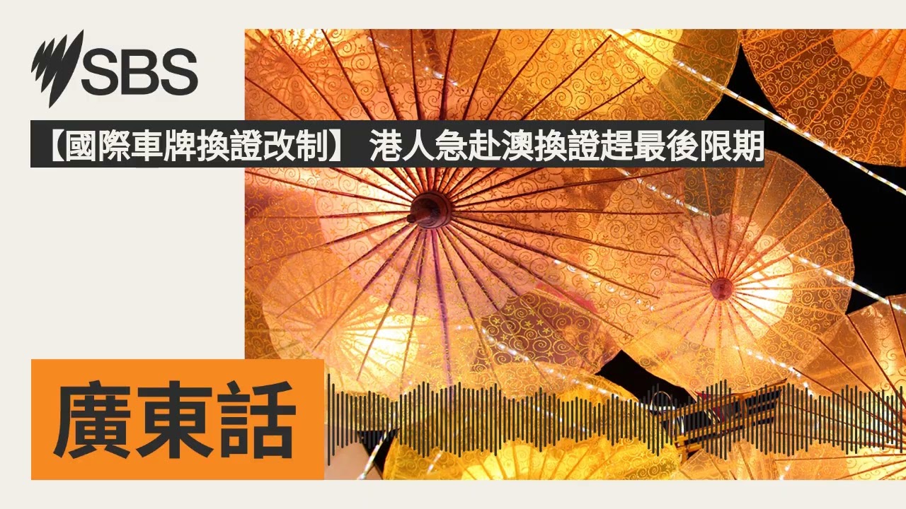 【國際車牌換證改制】 港人急赴澳換證趕最後限期 | SBS Cantonese - SBS廣東話節目