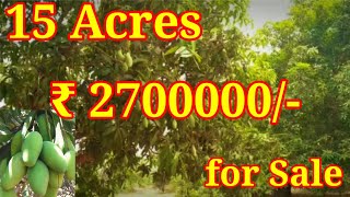 Mango garden for sale || Vizag || 15 Acres || ₹ 2700000/- || Vizag Real Estate hub