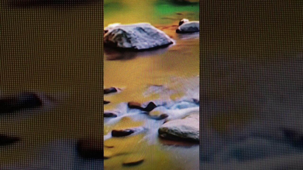 Марина Пиза  Ну и неряха !. Мастер класс от профессиональной попрошайки ! Надо делиться !