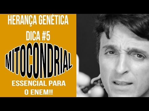 Vídeo: O que é herança biparental?