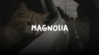 magnolia — magnolia celebration (slowed   reverb)