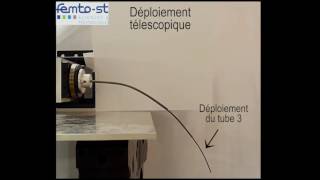 Details Concentric tube robot (CTR) working principle @ FEMTO-ST Guide