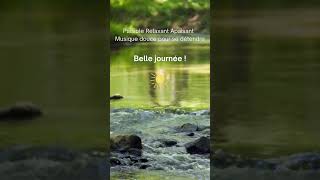 Paisible Relaxant Apaisant Musique Douce Pour Se Détendre