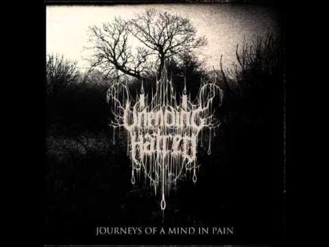 Unending Hatred — Unending Hatred - Beyond the Wind