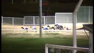Rockhampton-04032015-Race-4