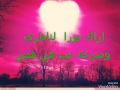 احبك حد الجنون