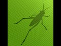 2024_봄학기_숭실대학교 디지털표현2 보강 (Grasshopper_Point and Curve Attractor)