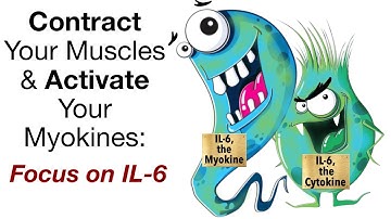 Contract Your Muscles and Activate Your Myokines:  Focus on IL-6