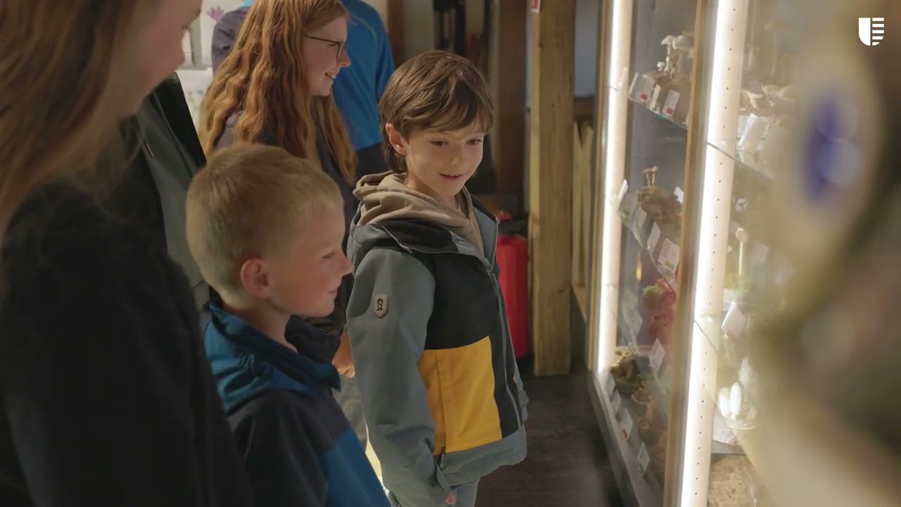 Umweltpreis 2025 | Benninger Ried | Preisträgervideo Bezirk Schwaben 4K