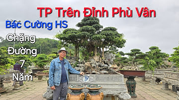 Bác CƯỜNG HỌA SĨ CS chặng đường 7 NĂM bên TP TÂM HUYẾT * TRÊN ĐỈNH PHU VÂN * .