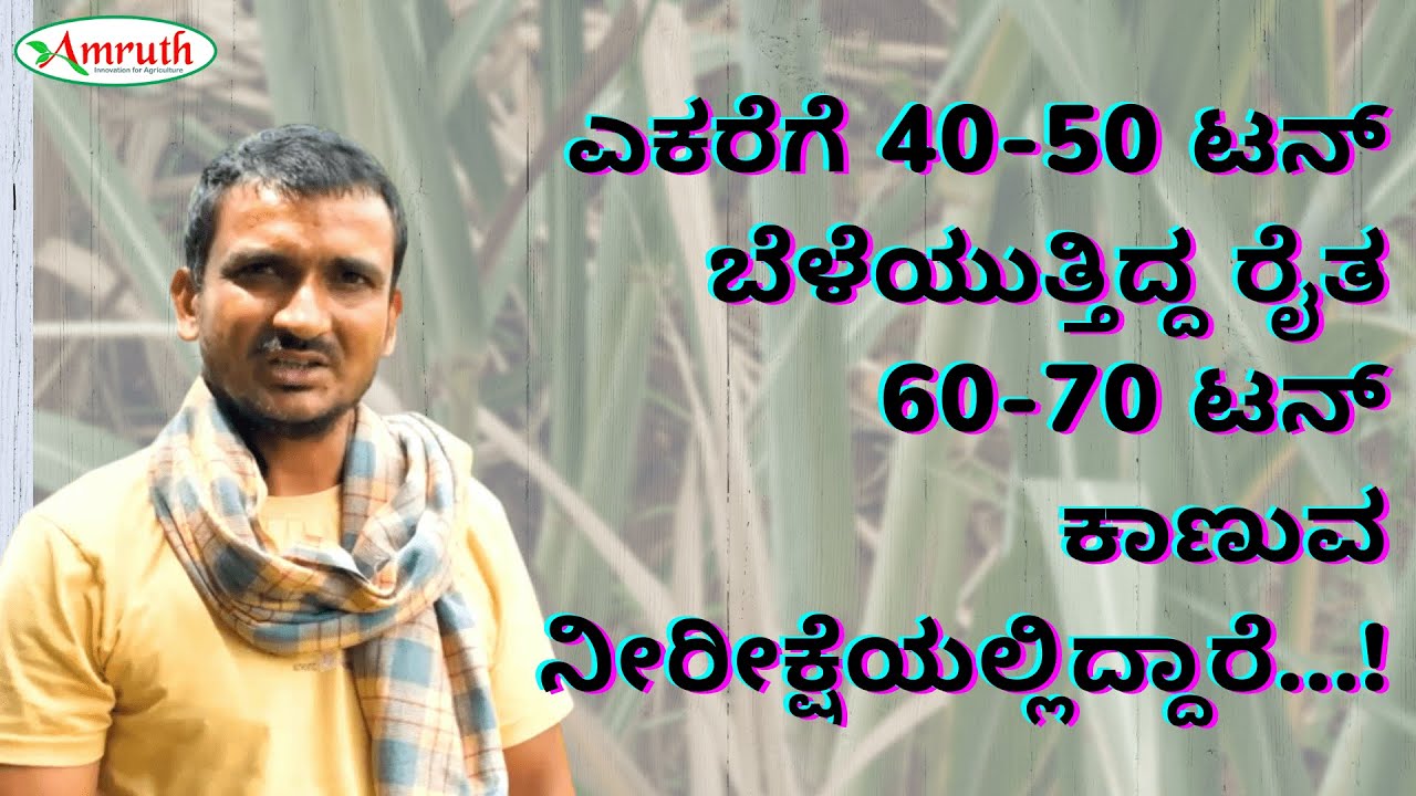 ಮಣ್ಣನ್ನು ಮೃದುವಾಗಿಸಲು ಹೀಗೇ ಮಾಡಿ....!!! AMRUTH ORGANIC FERTILIZERS