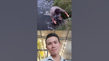 Pha bắt cá hơi bị còng kềnh #fishing #cauca #shots #caucatunhien