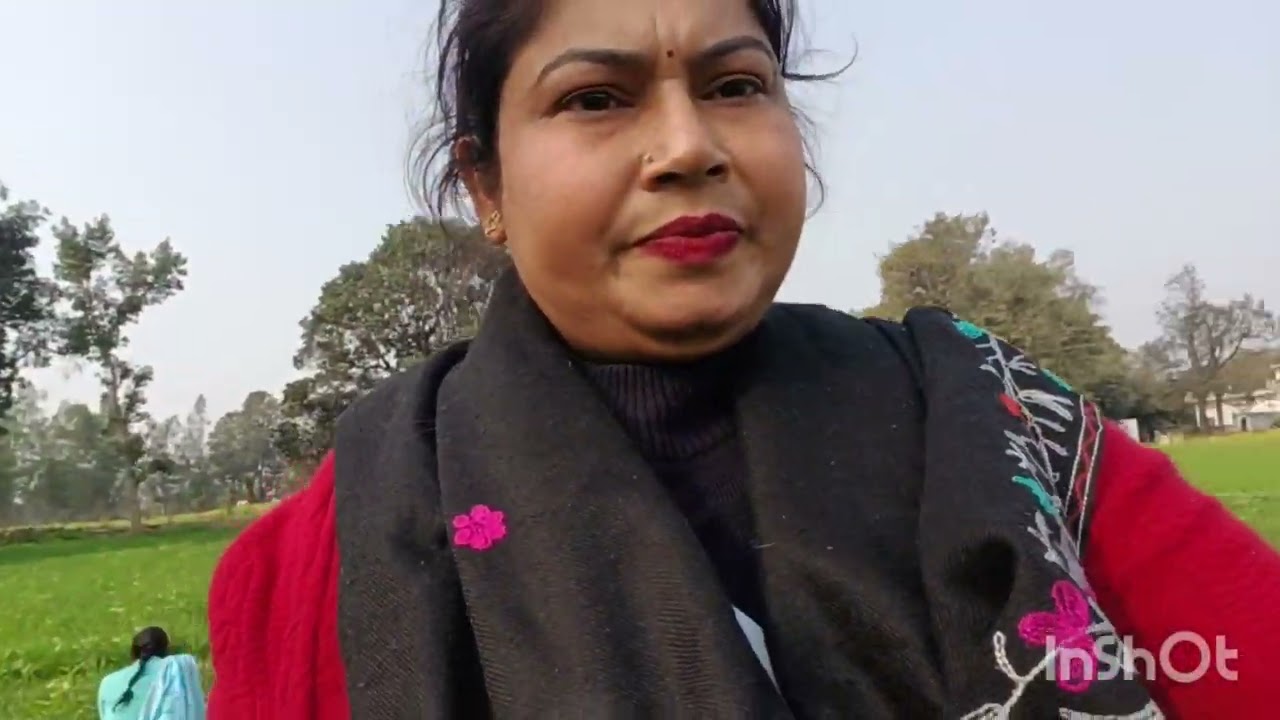 खेतों में बथुआ चुराती हुई पकड़ी गई महिलाएं 😂👍#15 किलोमीटरदूर खेत#😂✅ वायरल हुई वीडियो