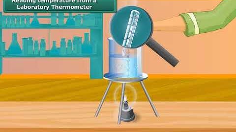 Reading Temperature from a Laboratory Thermometer | Class 7 | Science