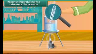 Reading Temperature from a Laboratory Thermometer | Class 7 | Science