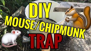 DIY MOUSE/CHIPMUNK TRAP