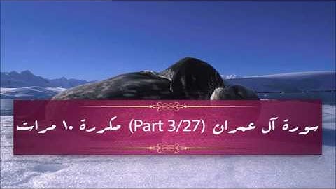 Surah Al-Imran (part 3/27) repeated 10 times - سورة آل عمران (part 3/27) مكررة 10 مرات