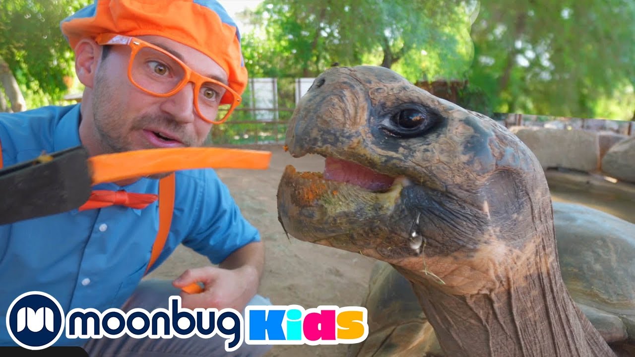 ⁣Blippi erkundet einen Zoo (Phoenix Zoo) | Kinderlieder und Cartoons | Blippi | Moonbug Kids Deutsch