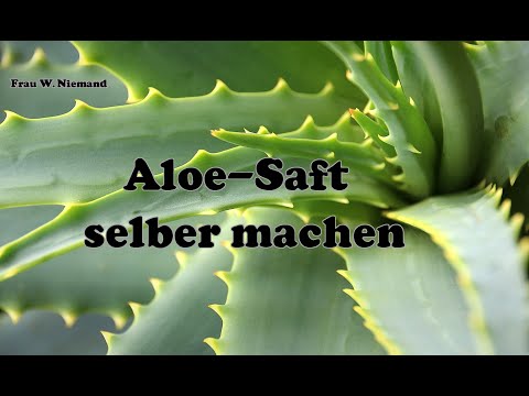 Aloe-Saft selber machen | Frau W. Niemand