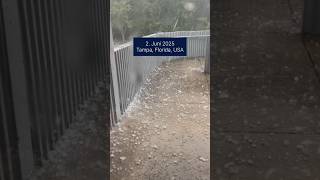 großer Hagel in Tampa, Florida, USA! #news #nachrichten #hagel #hagelschlag #florida #hagelsturm
