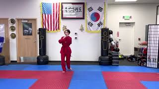 Low Front Snap Kick- Real Time