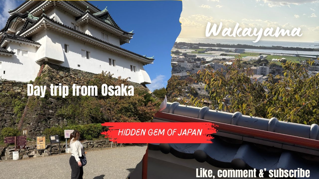 Hidden Japan - Wakayama is a MUST SEE | Japan vlog 🇯🇵