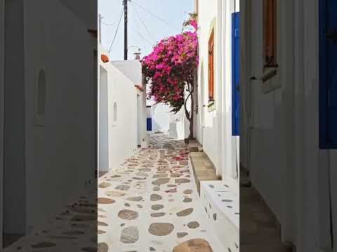 Santorini Dreamscape: Oia's Magic Captured in Morning Light #shorts