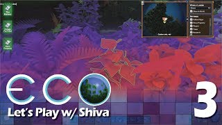 Eco Lets Play - Salad Research