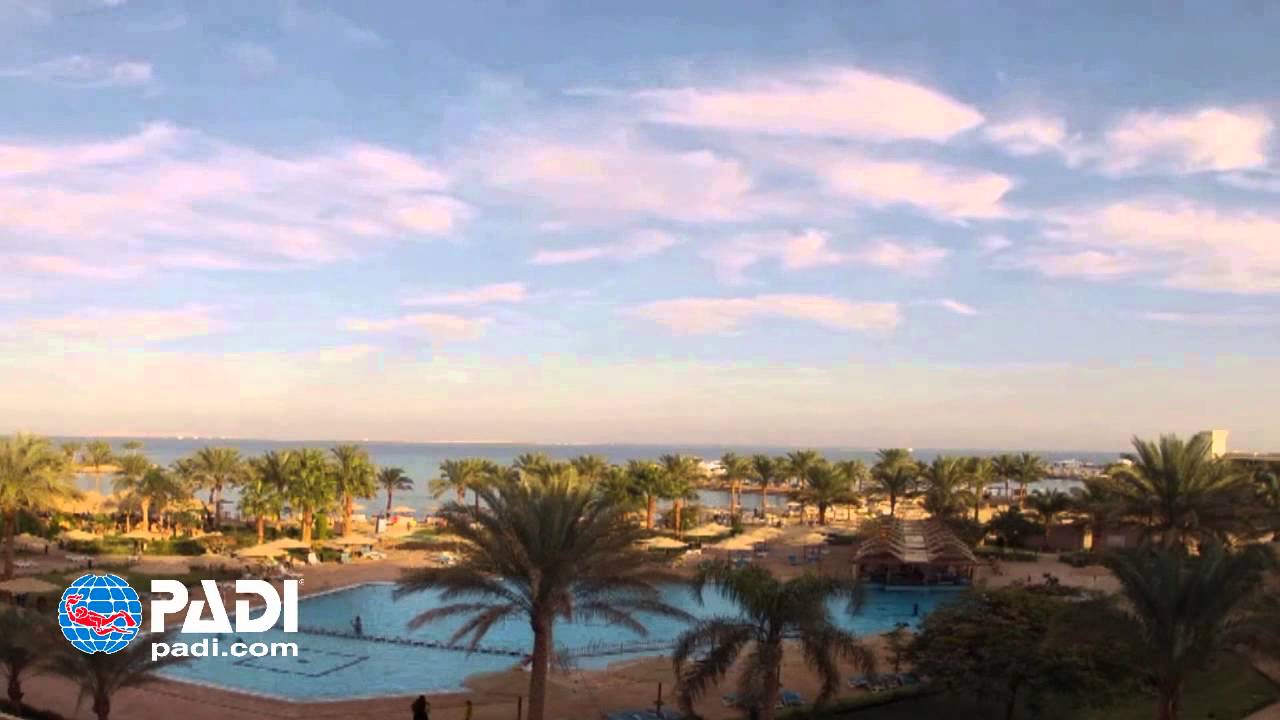 a PADI Pro Spanish YouTube