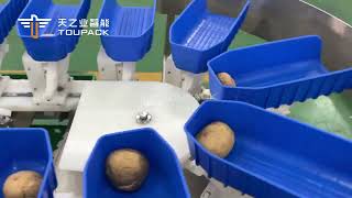 High Speed Rotary Weigher Apple Sorting Machine Onion Sorting Machine Avocado Grading Machine