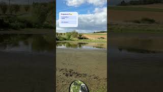 Suzuki King Quad 750 AXi in the lake#atv4x4 #mud#