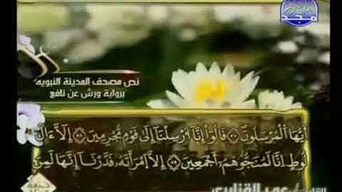 الجزء الرابع عشر من القرآن الكريم بصوت الشيخ عمر القزابري