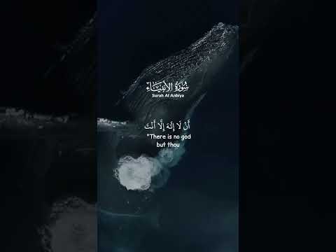 دعاء سيدنا يونس في بطن الحوت سورة الأنبياء سعود الشريم