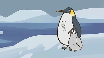 Почему некоторые птицы не умеют летать? [TED-Ed]