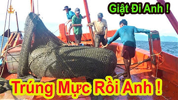 Tàu Đánh Bắt Cá | Không Ngờ Ơn Trên Độ Cho Trúng Mực Rồi Cả Nhà Ơi (P32)