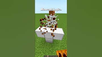 Minecraft Logic😱 #minecraft #shorts