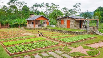 Build Many Vegetable Beds with Red Bricks And Automatic Watering System - Growing Vegetable