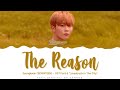 Seungkwan (SEVENTEEN) - &#39;The Reason&#39; (Lovestruck in the City OST 6) Lyrics Color Coded (Han/Rom/Eng)