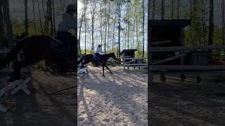 Skoki na Amorze ❤️ #wbijsię #horse #automobile #galop #equestrian