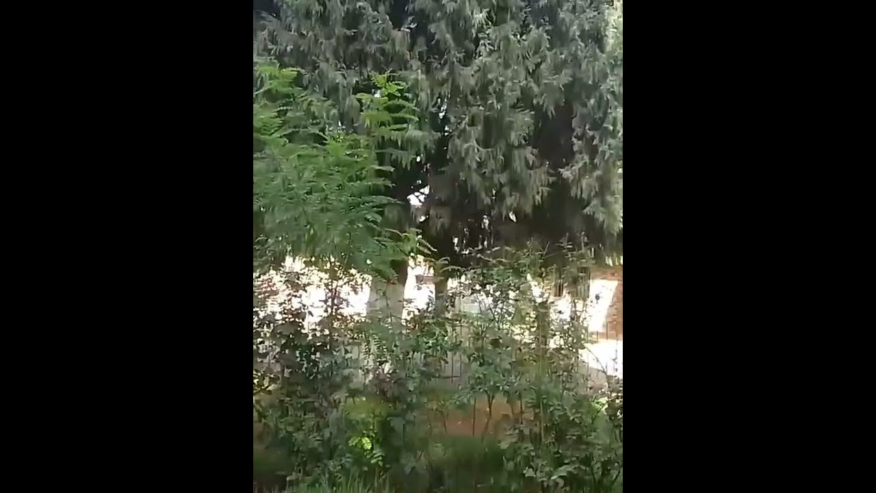 #القصيبة_اعزان_