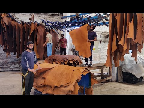 Video: Vad är flytande hud? Vi reparerar produkter gjorda av äkta läder med våra egna händer