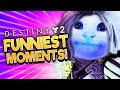 Destiny 2 best funny moments and fails 