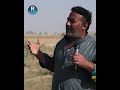 قرية حاوي الهوى بريف الرقة استغلال المساحات الزراعية