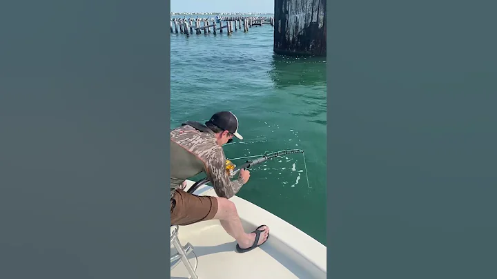 Kevlar leash breaks! Rod goes over while goliath grouper fishing!