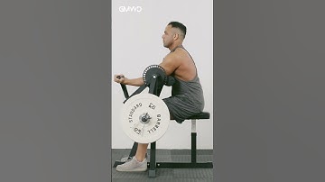 Elevate your arm workouts with GMWD Bicep Curl&Tricep Extension Machine WJ32.Crafted for Excellence!